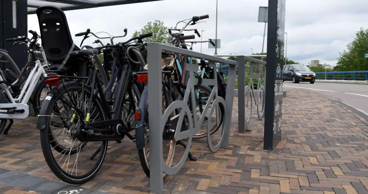 Maatwerk boombank Fahrradständer 2 1920