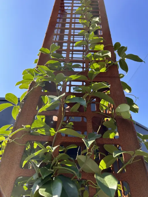 Green stand with climbing plant