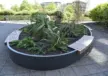 Maatwerk plantenbak met houten zitvlakken
