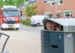Jongen opgesloten in prullenbak op straat - Straatmeubilair van Grijsen Park en Straatdesign