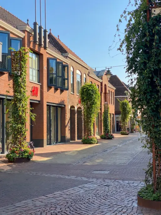 Groenstaanders