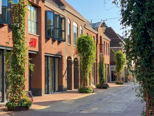 Groenstaanders