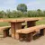 Picknickset straatmeubilair natuur comfort comfort 1