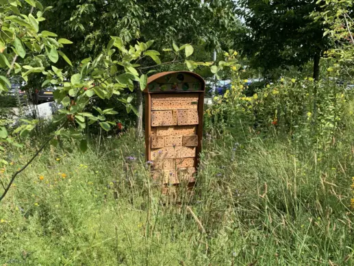 Ons verhaal Duurzaamheid Onze producten duurzaamheid insectenhotel