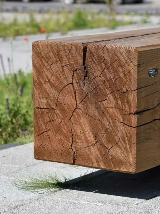 Buitenbank van douglas hout