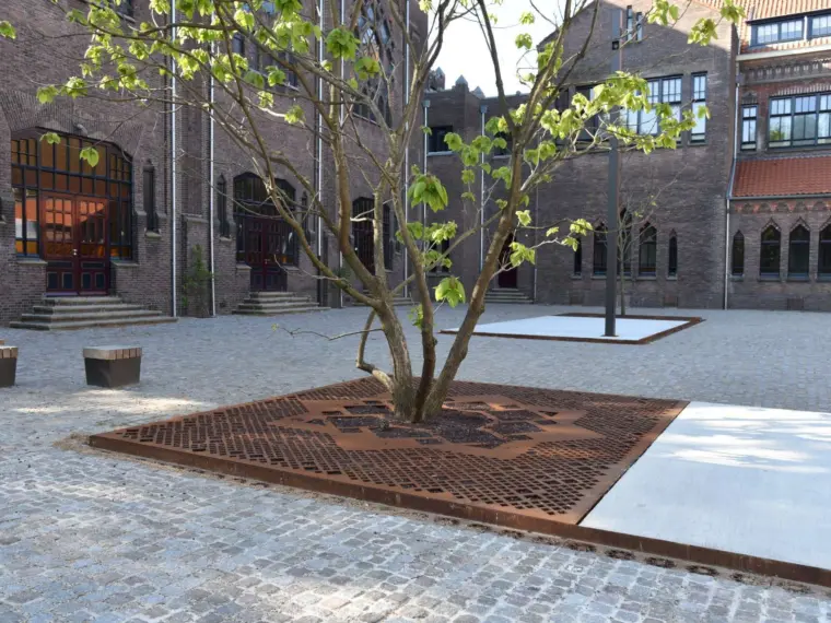 Wat is een boomrooster Eindhoven Domus DELA