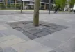 Maatwerk boomrooster 25