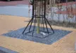 Random Baumroste Grijsen