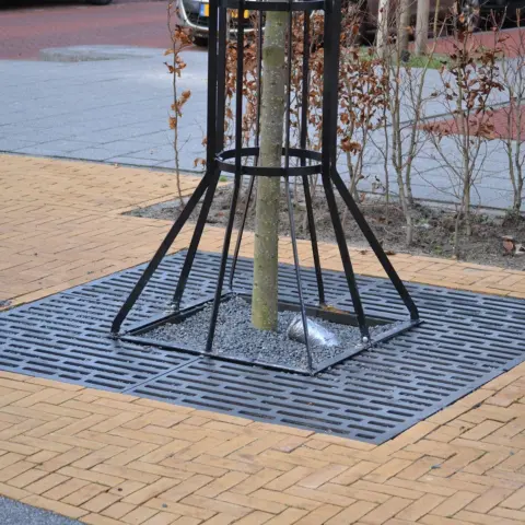 Random Baumroste Grijsen