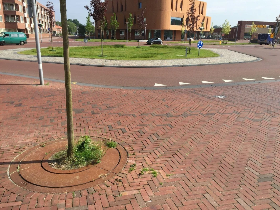 Boomrooster Round voor de openbare ruimte