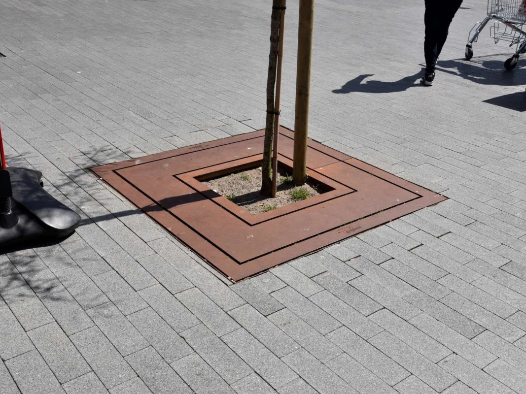 Boomrooster Square voor de openbare ruimte