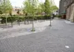 Boomrooster Square voor de openbare ruimte