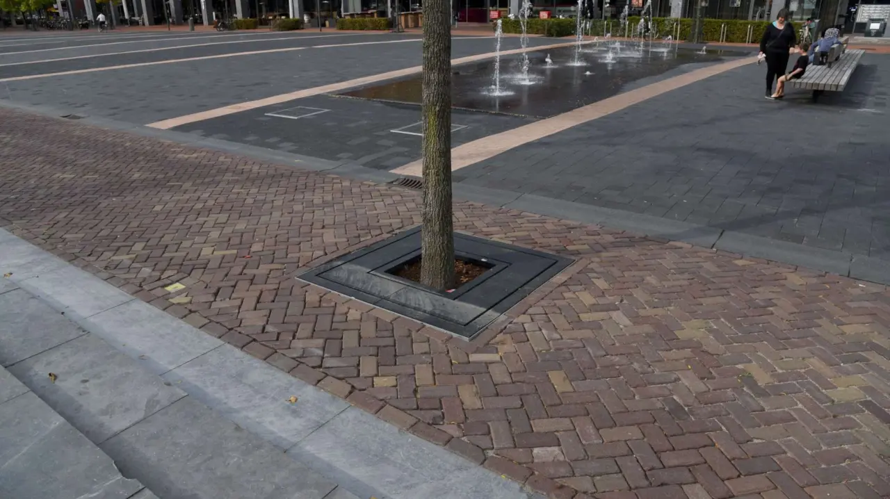 Boomrooster Square voor de openbare ruimte