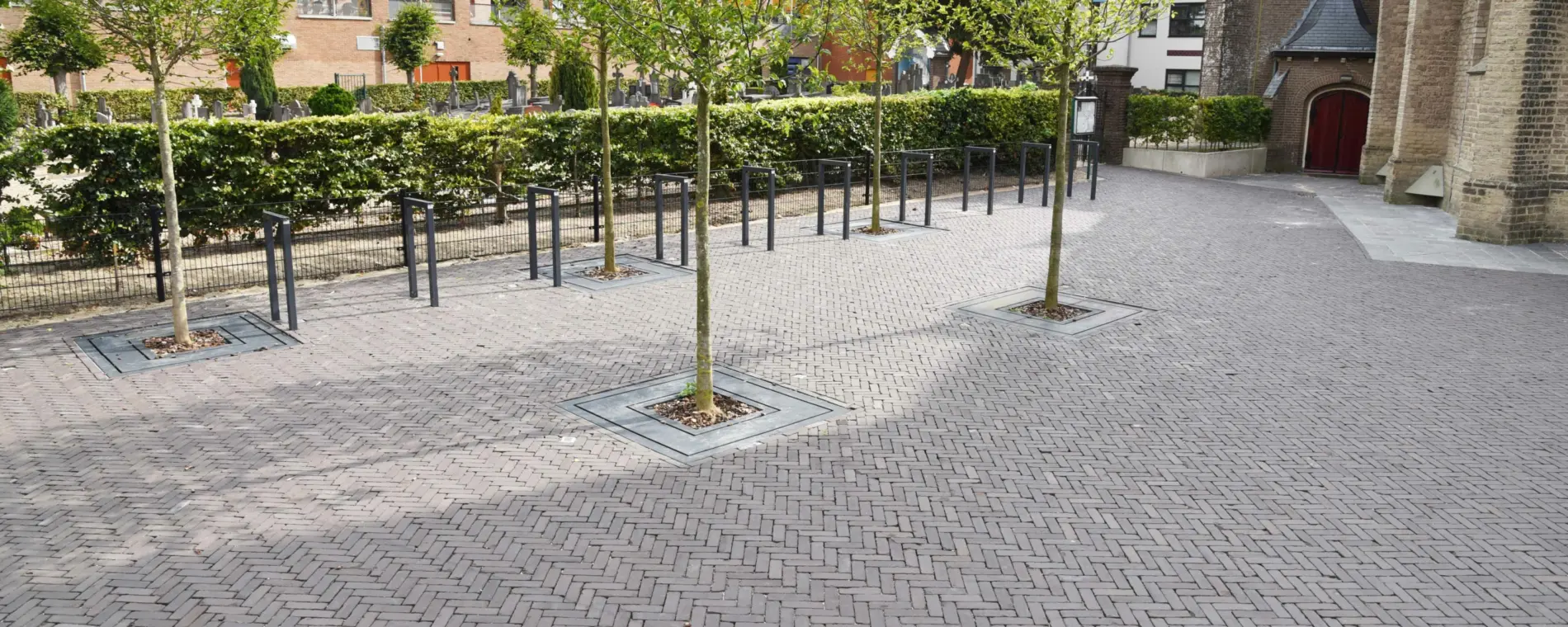 Boomrooster Square voor de openbare ruimte