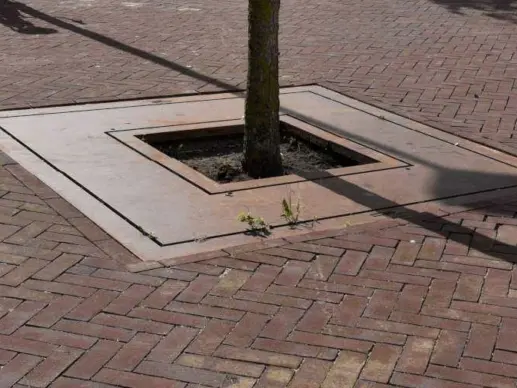 Boomrooster Square voor de openbare ruimte