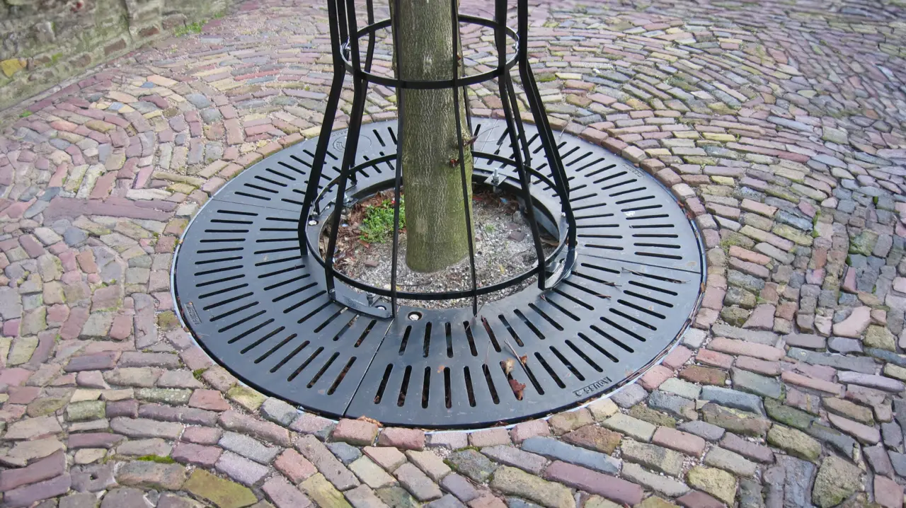Boomroosters straaldesign rond