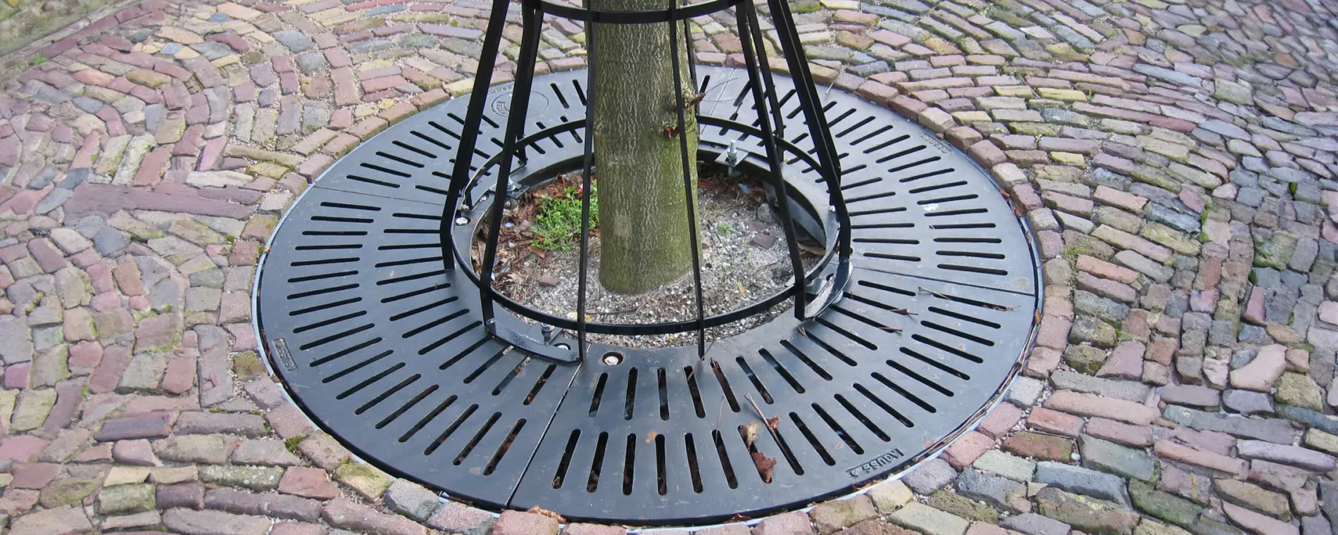 Boomroosters straaldesign rond