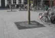 Boomrooster Straaldesign vierkant voor de openbare ruimte
