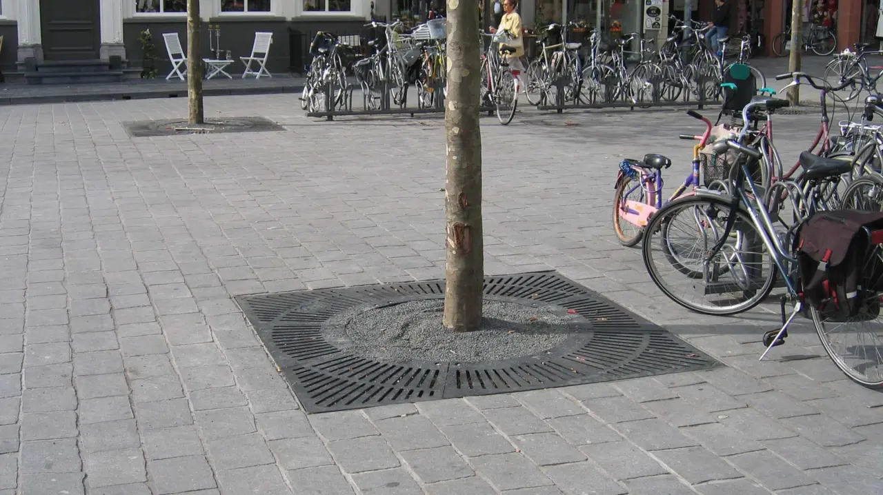 Boomrooster Straaldesign vierkant voor de openbare ruimte