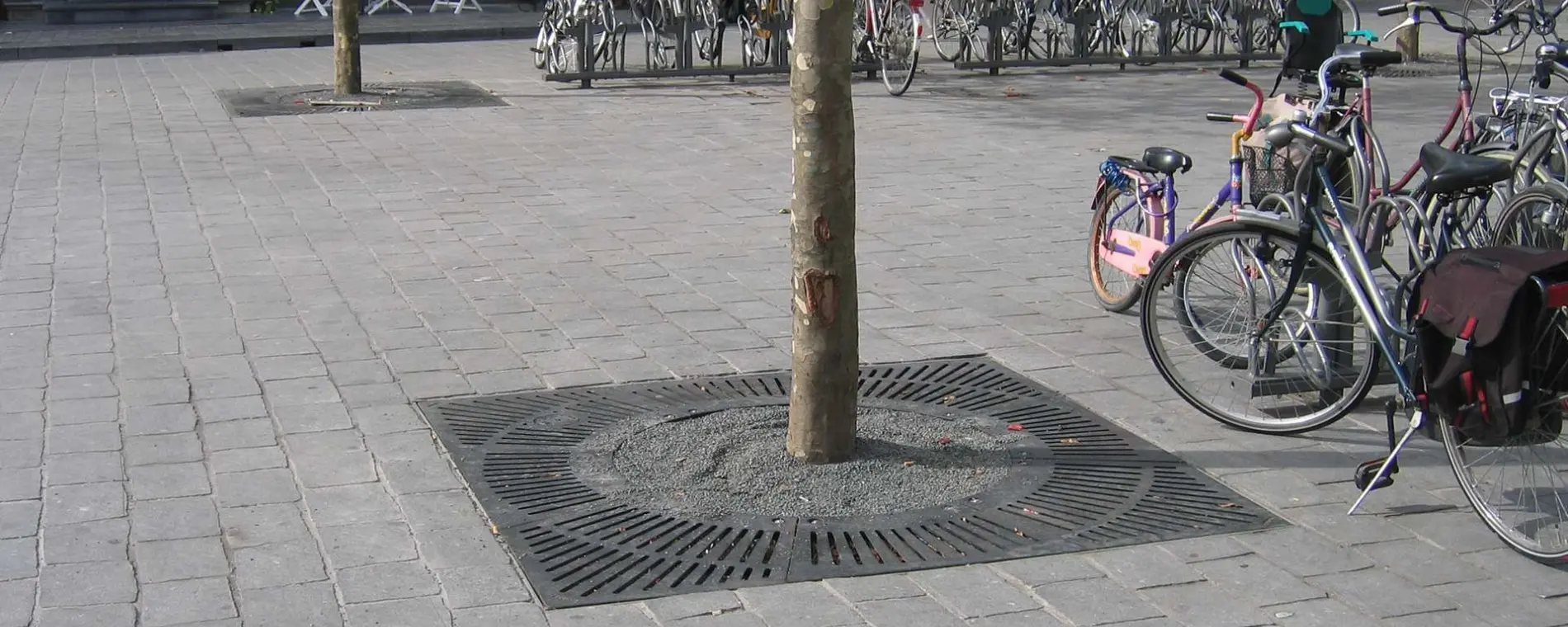 Boomrooster Straaldesign vierkant voor de openbare ruimte