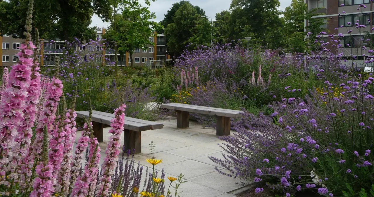 Buitenbank Natuur Comfort Enkelzits -foto Buro Lubbers