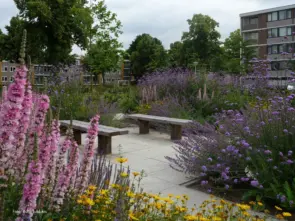 Buitenbank Natuur Comfort Enkelzits -foto Buro Lubbers