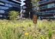 Insectenhotel op de Danzigerkade in Amsterdam