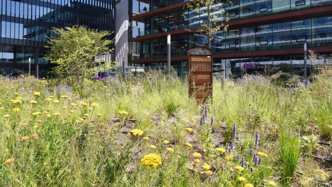 Insectenhotel op de Danzigerkade in Amsterdam