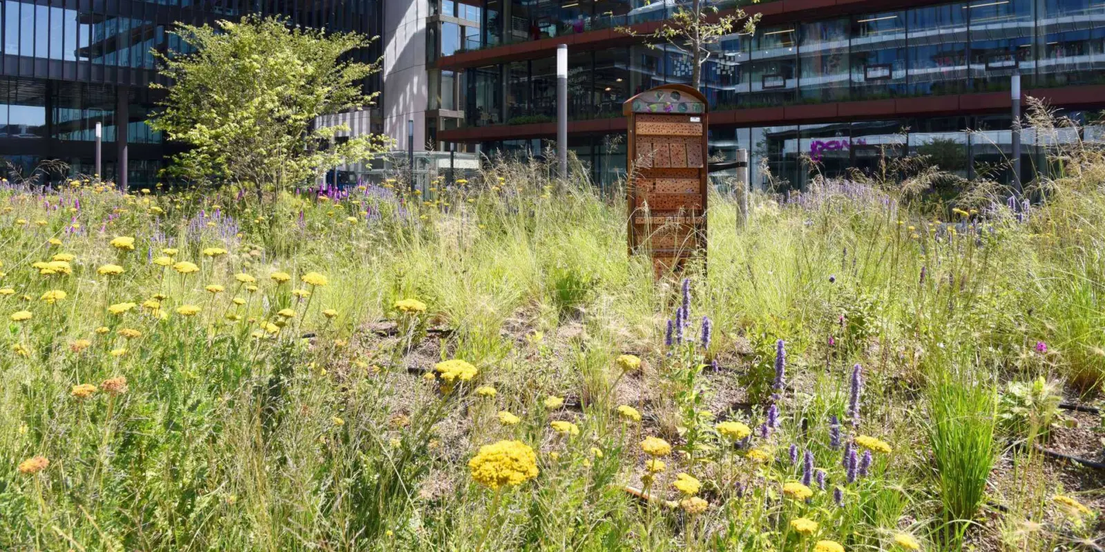 Insectenhotel op de Danzigerkade in Amsterdam