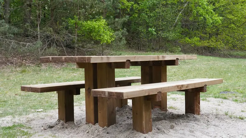 Picknickset Natuur comfort 3