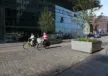 Tree Pflanzkübel Grijsen