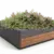Rendering Tree Pflanzkübel Grijsen