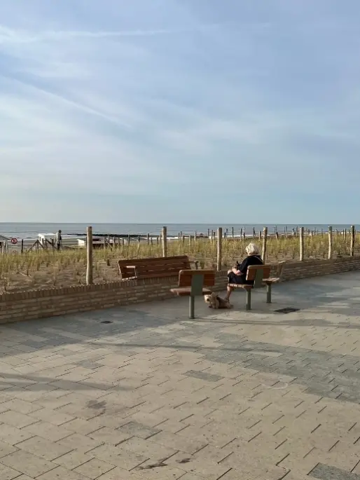 Middelkerke Westende Zitje op boulevard met genietende vrouw 1