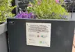 Geldern Parklet Grijsen Mai 1