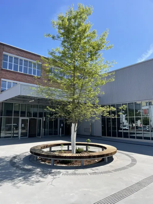 Köln Kalk Bildungscampus Baumbank Plane behandelte Douglasie Grijsen Stadtmobiliar
