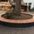 Leer Boombanken van staal en hout Grijsen Park Straatdesign straatmeubilair 1