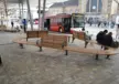 Mönchengladbach Hauptbahnhof Bankanlagen 40 Parkbank Grijsen Stadtmobiliar