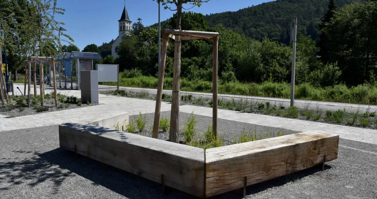 Baumbänke Pure Sondermodell Dorfplatz Stahringen Grijsen Stadtmobiliar