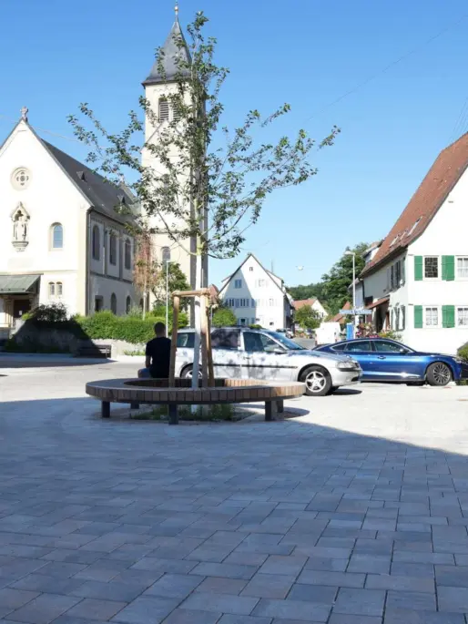Tübingen Hagelloch Baumbank Plane 23