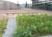 Slingerbank op schoolplein Clusius College in Alkmaar 4