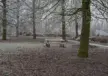 Maßarbeit Plane Almere Wald der Unbesiegbaren 6