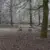 Maßarbeit Plane Almere Wald der Unbesiegbaren 6