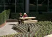 Amsterdam ABN AMRO picknickset op dakterras