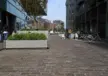 Plantenbak maatwerk tree 7