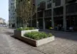 Plantenbak maatwerk tree 13