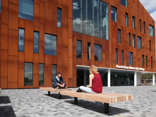 Amsterdam University College Constructo 50 Grijsen 1