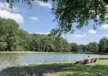 HOSPER Lansingerland Lage Bergse Bos 15