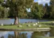 Rotterdam Rottemeren 10
