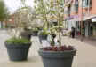 Burgum Winkelgebied Areka Plane Plus dubbelzits met comfort rugleuning square dubbel fietsbeugel straatmeubilair grijsen 6