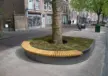 Delft Nieuwe Langendijk Boomeilanden 3